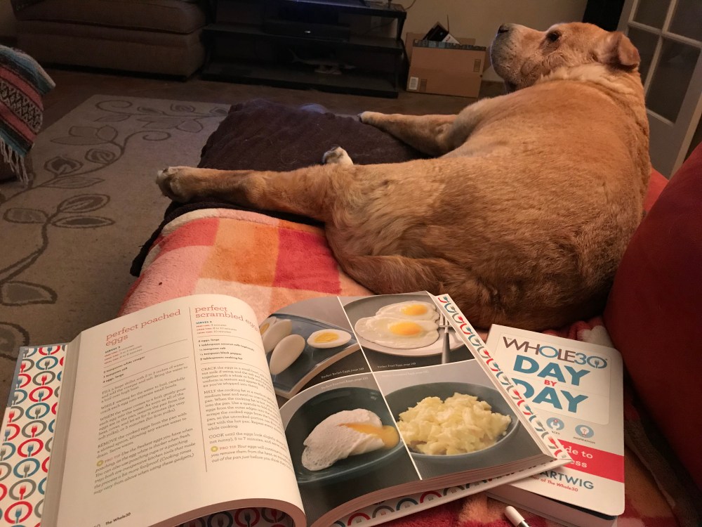 7BFFC72F-1125-47D7-97AB-DE020DC5023B